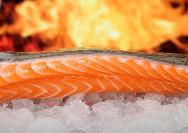 Dieta chetogenica - Ottimo il pesce grasso